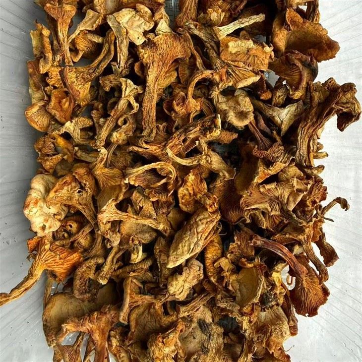 Dried Chanterelles suppliers