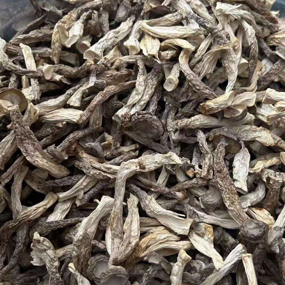 Dried Antler Mushroom