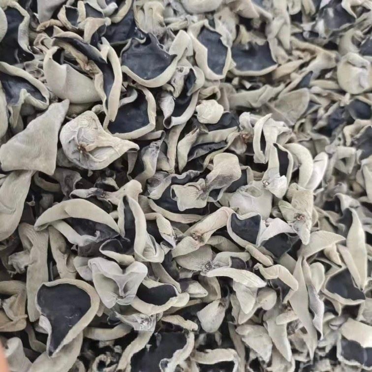Dried Black Fungus