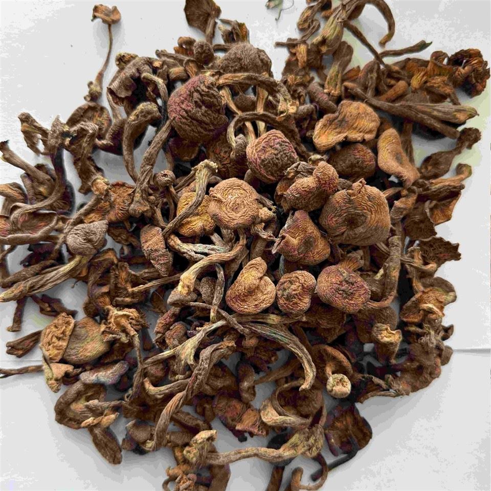 Dried Diced Honey Mushrooms suppliers