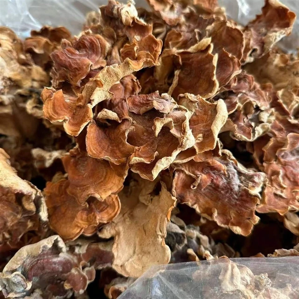 Dried Elm Ear Mushroom