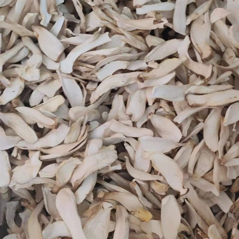 Dried King Oyster Mushroom