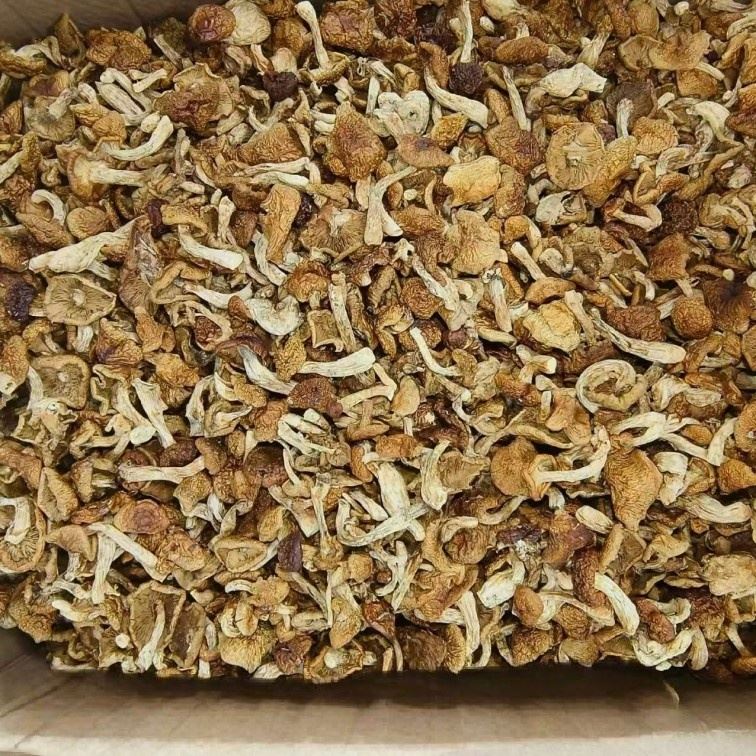 Dried Nameko Mushrooms