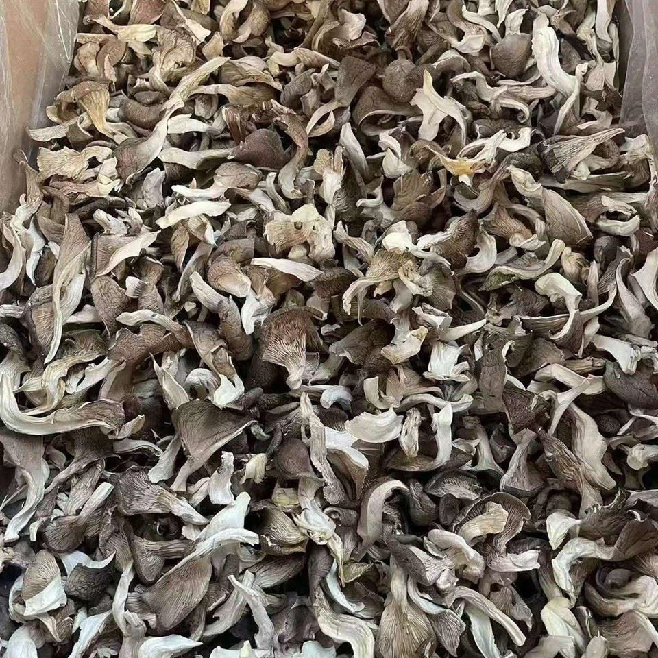 Dried Oyster Mushroom