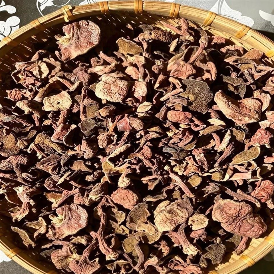 Dried Red Slippery Jack