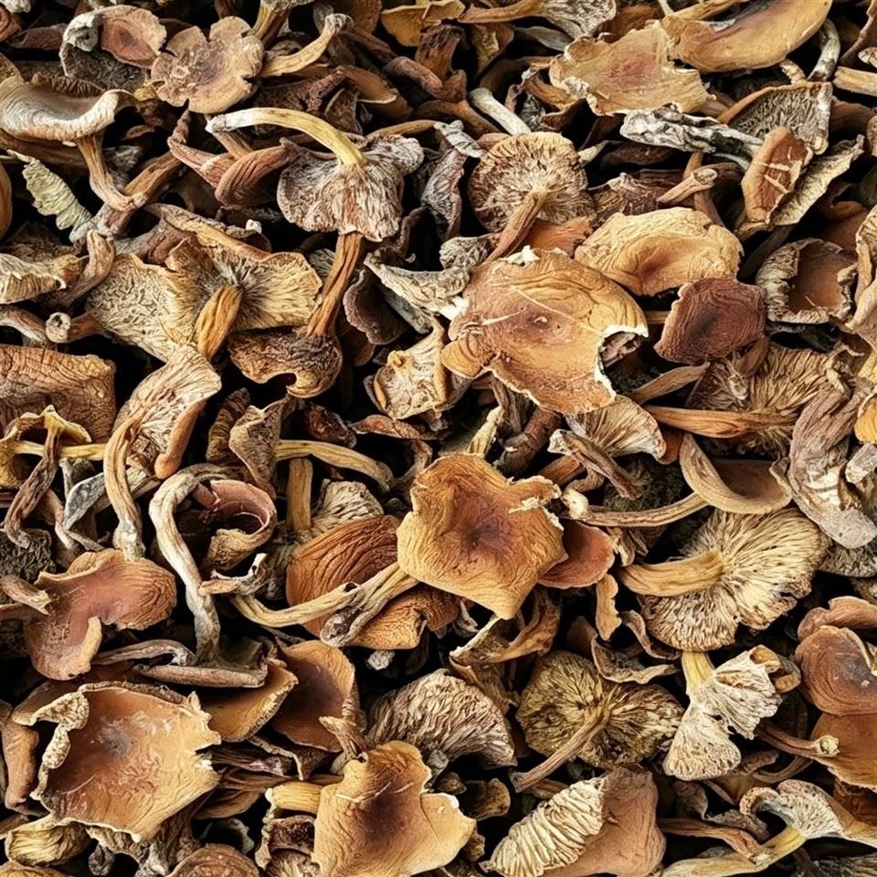 Dried Saffron Milk Caps