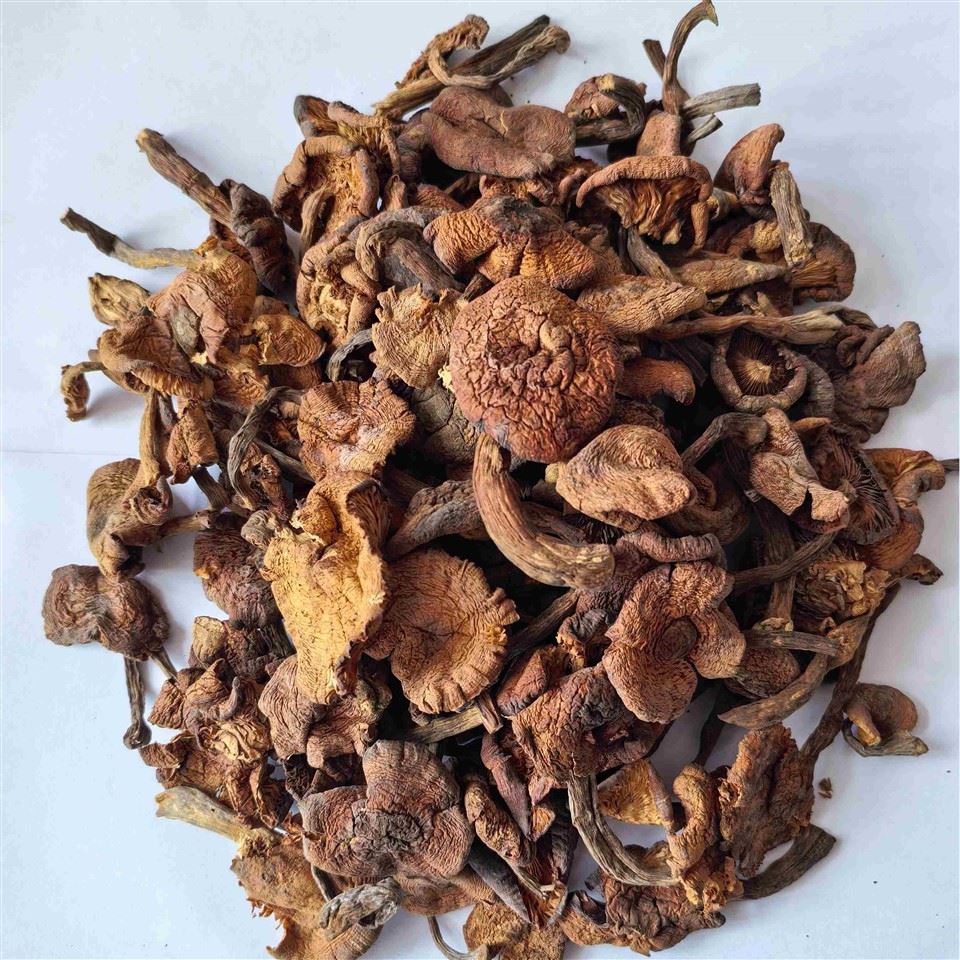 Dried Sliced Honey Mushrooms