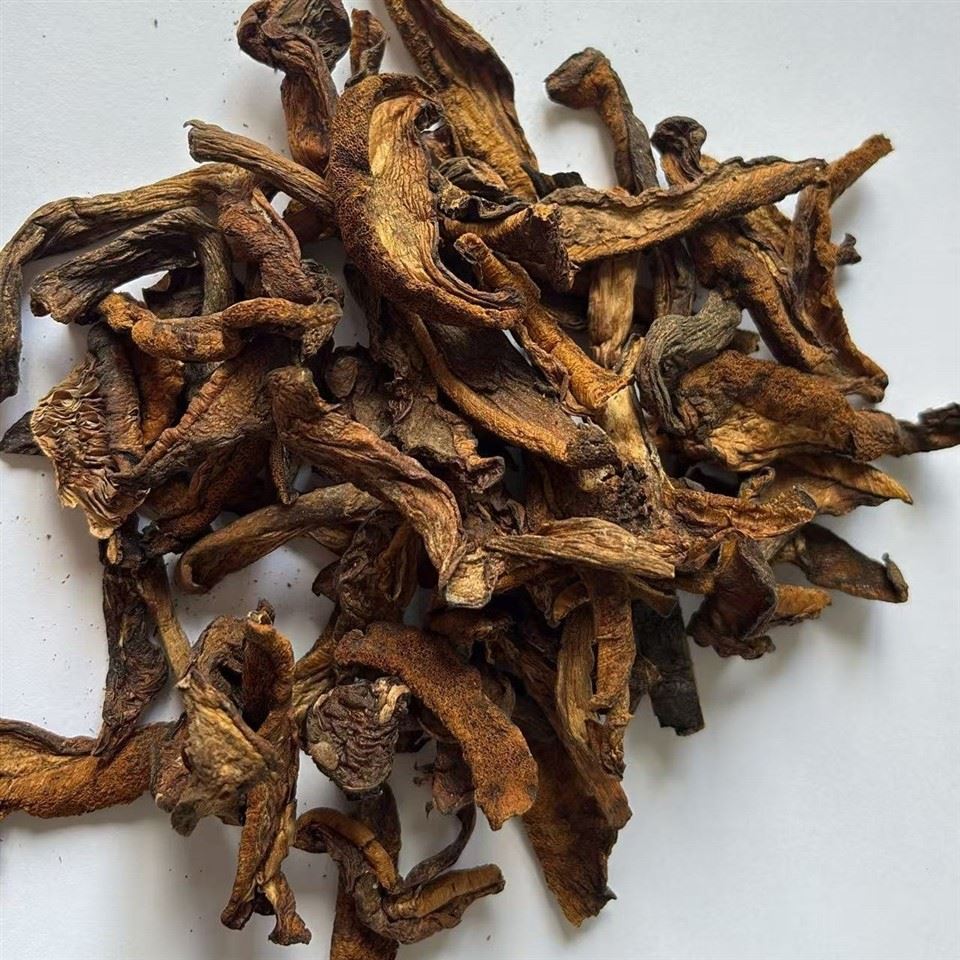 Dried Slippery Jack Mushroom Strips factory