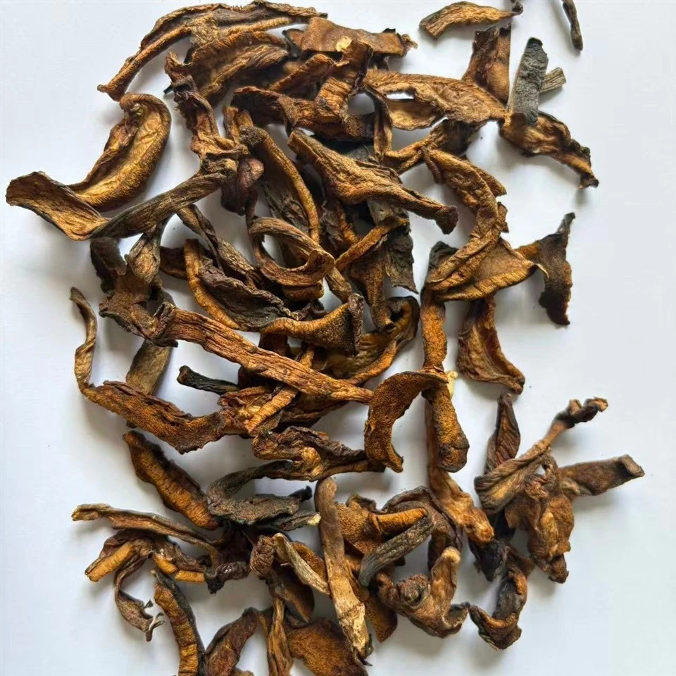 Dried Slippery Jack Mushroom Strips suppliers