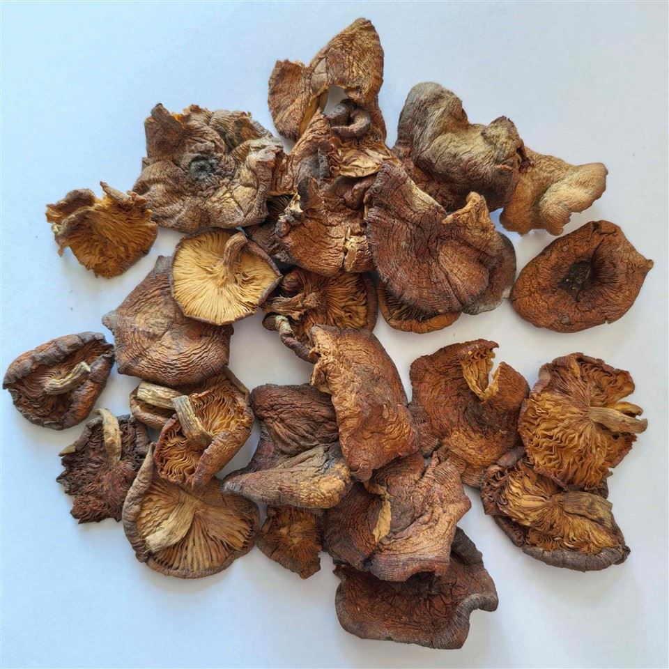 Dried Stem Cut Honey Mushrooms