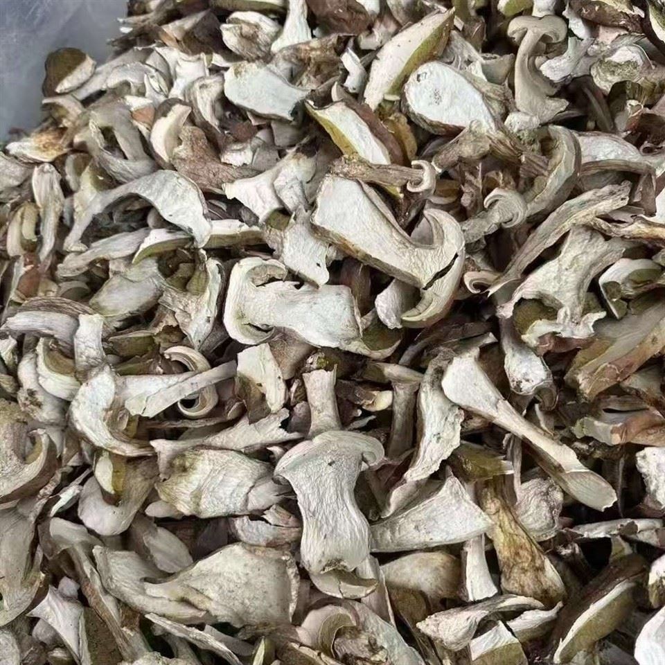 Dried Suillus Granulatus suppliers