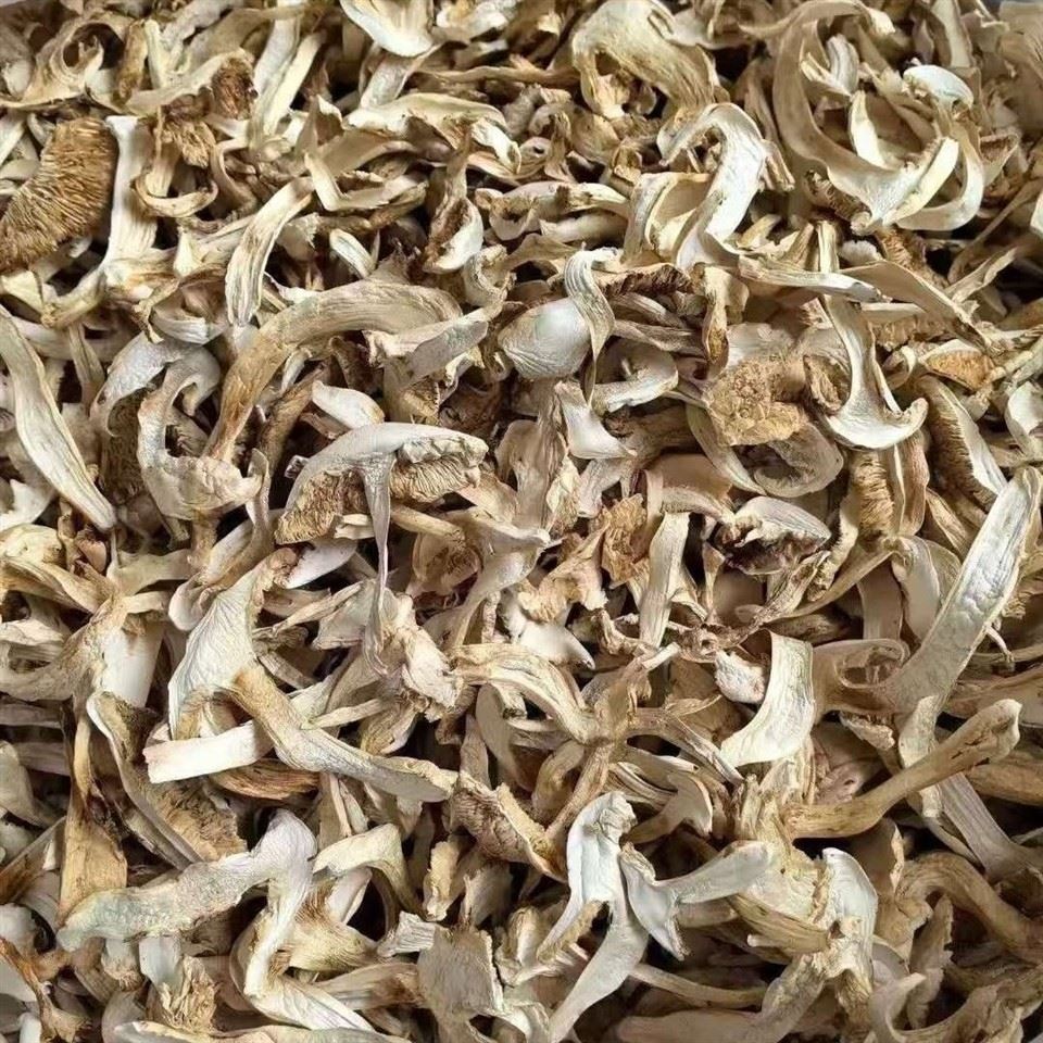 Dried White Wild Mushroom suppliers