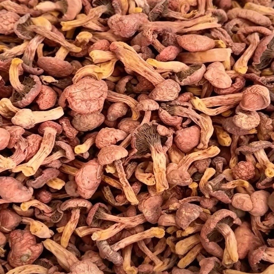 Dried Whole Copper Spike Mushrooms