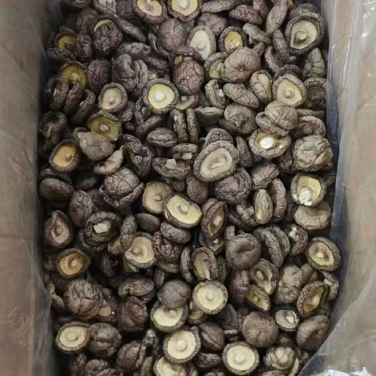 Organic Dried Shiitake Mushrooms