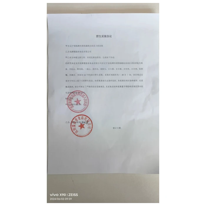 product-700-700