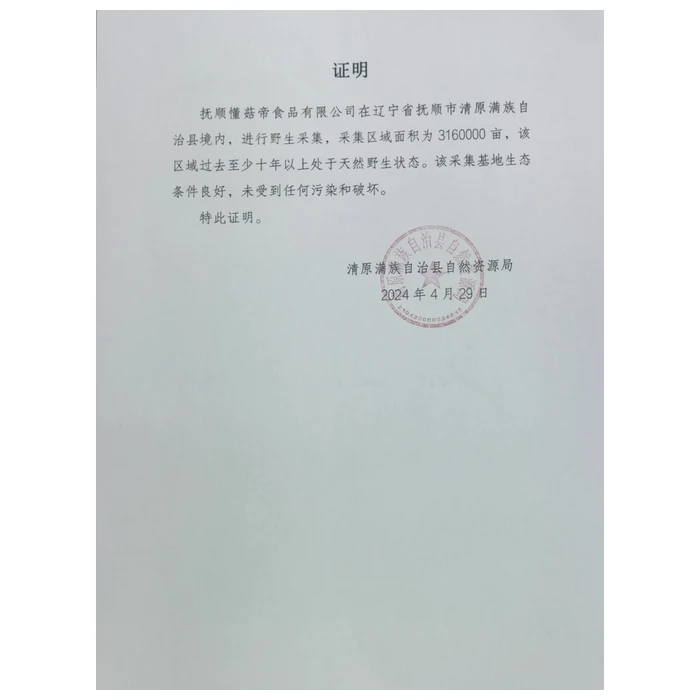 product-700-700