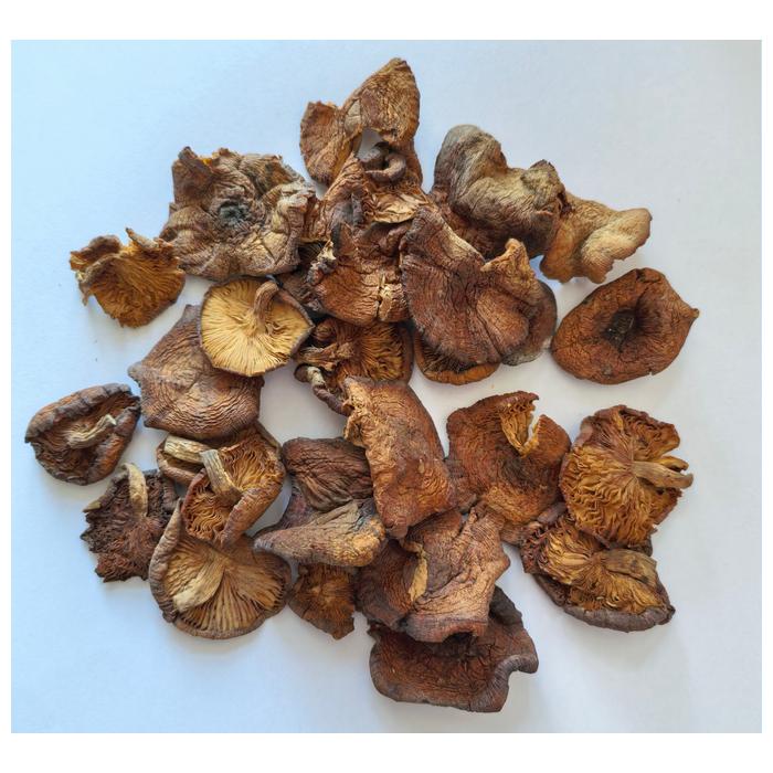 product-700-700