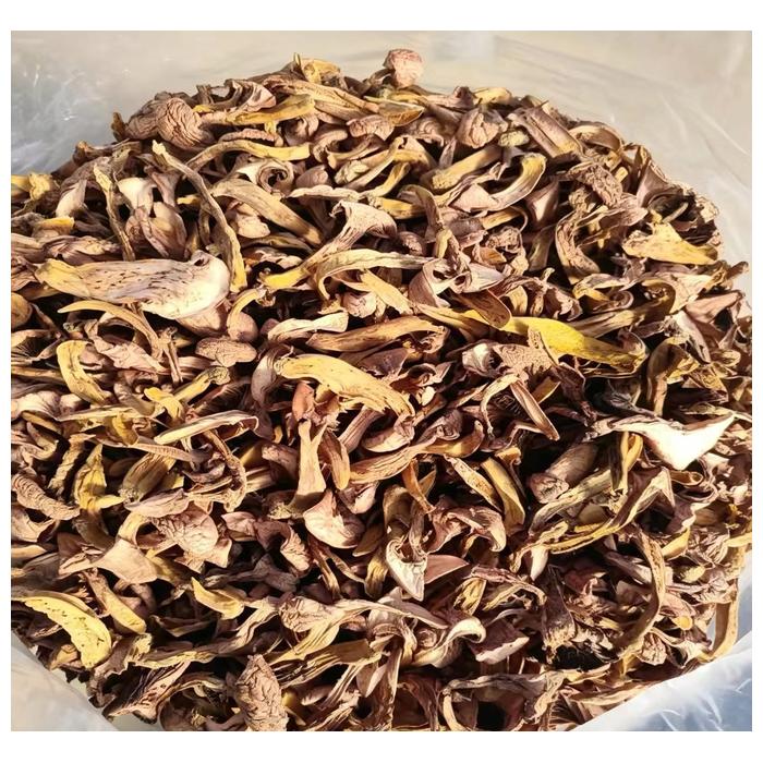 product-700-700 product-700-700