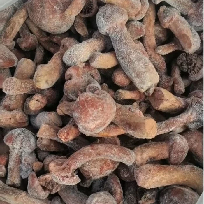 product-700-700 product-700-700
