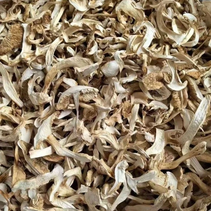 product-700-700