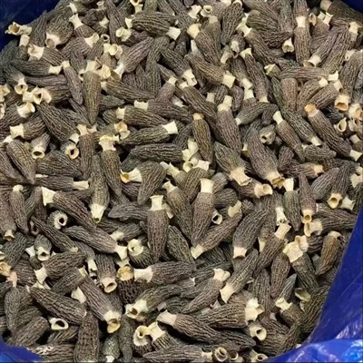 Dehydrated Morel Mushrooms