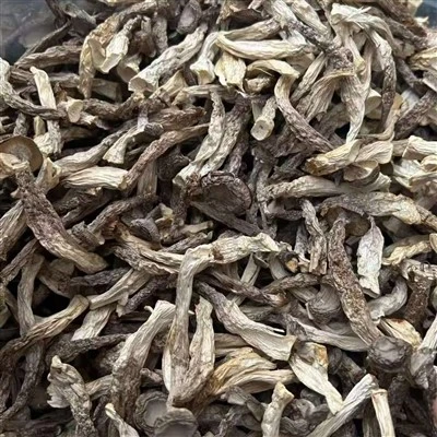 Dried Antler Mushroom