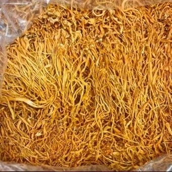 Dried Cordyceps Flower