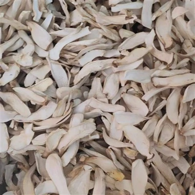 Dried King Oyster Mushroom