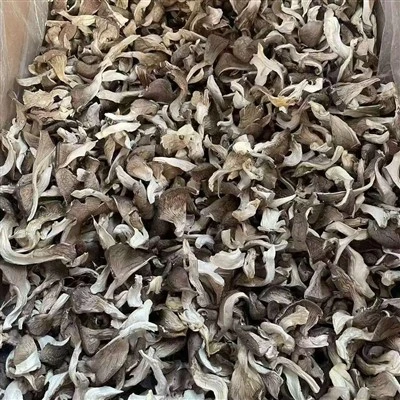 Dried Oyster Mushroom