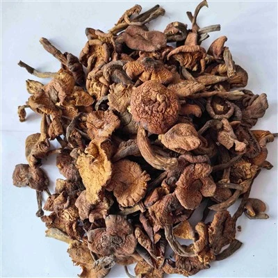 Dried Sliced Honey Mushrooms