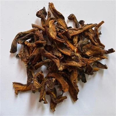Dried Slippery Jack Mushroom Strips