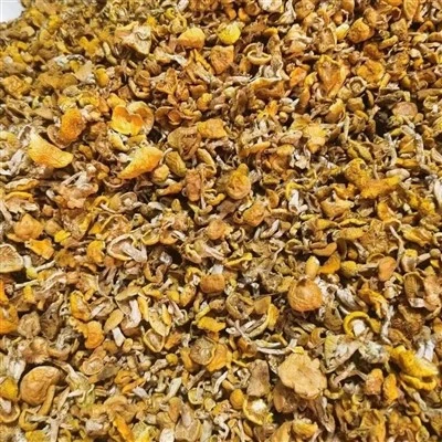 Dried Small Yellow Agaric