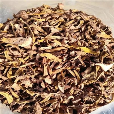 Dried Striped Copper Spike Mushrooms