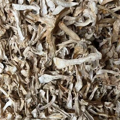 Dried Stropharia Rugosoannulata