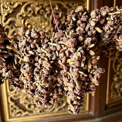 Dried Strung Copper Spike Mushrooms