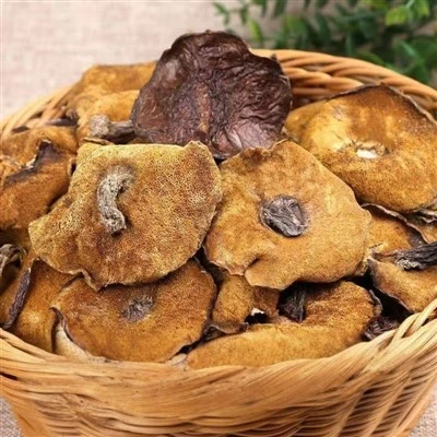 Dried Suillus Granulatus