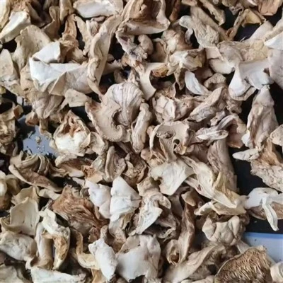 Dried White Wild Mushroom