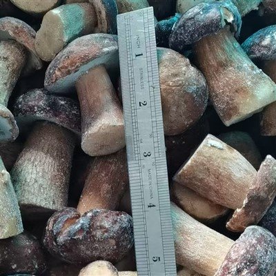 Frozen Porcini Mushrooms