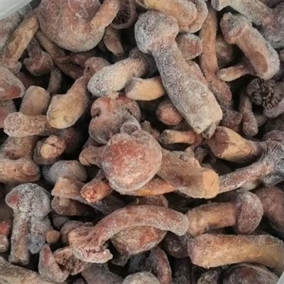 IQF Frozen Copper Spike Mushrooms