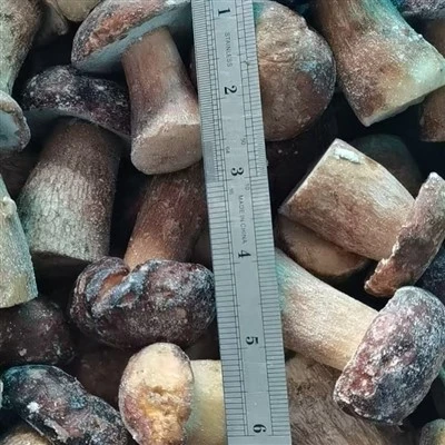 IQF Frozen Whole Boletus Edulis